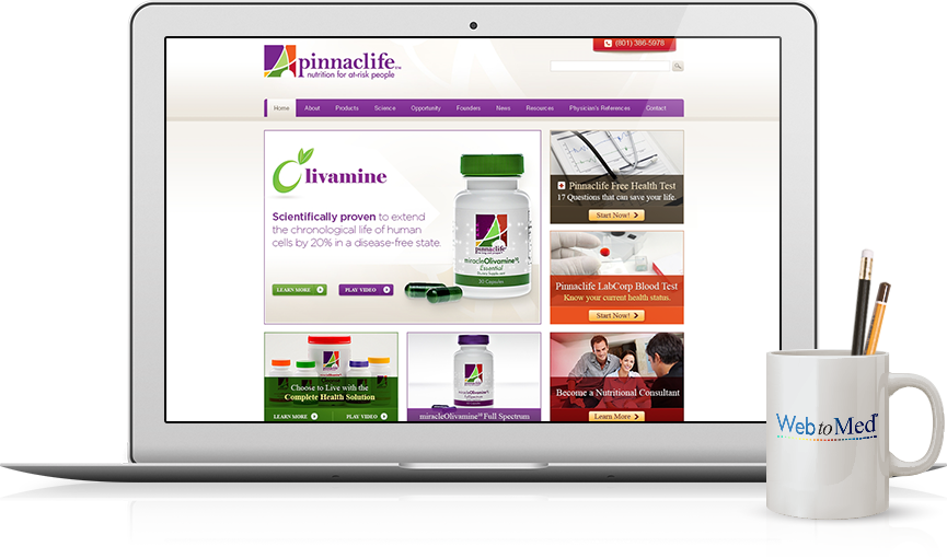 Top  Website Design - Pinnaclife