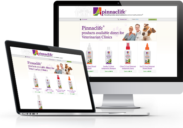 Best Medical E-Commerce Website Design - Pinnaclife